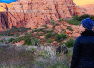 Things To Do In Zion National Park