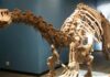 dinosaur museums near me