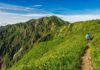 SUMMER TREKS