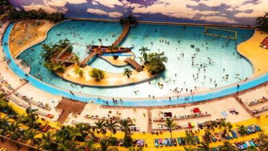 Tropical Island Resort